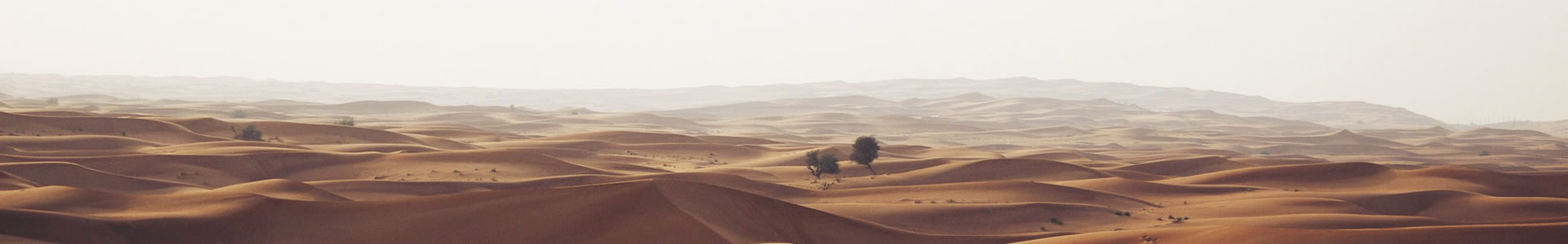 鷡ó޹˾